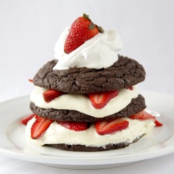 Dark Chocolate Strawberry Shortcake