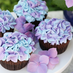 Hydrangea Cupcakes