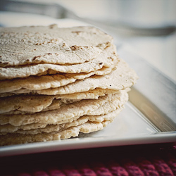 Homemade Corn Tortillas