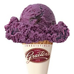 Black Raspberry Chocolate Chip