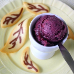 Blueberry – Banana Sorbet and Tuiles