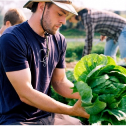 Eat Local Week in Sarasota, FL