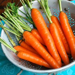 Maple Ginger Glazed Carrots