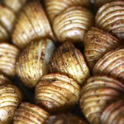 Hasselback Potatoes