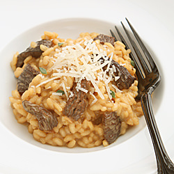 Morel Risotto