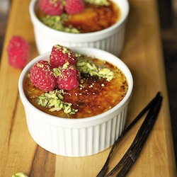 Creme Brulee