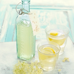 Elderflower Cordial