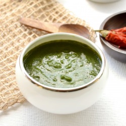 Mint and Coriander Chutney