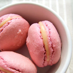 Macarons with Curd Filling