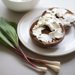 Wild Ramp Cream Cheese