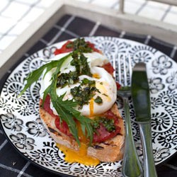 Egg and Grilled Tomato Sandwich