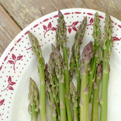 Wild Asparagus