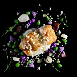 Ling Cod w/ Cauliflower Puree