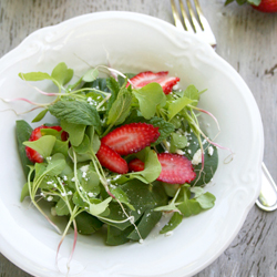 Spinach and Radish Sprout Salad