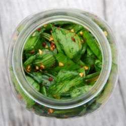 Ramp Greens Kimchi