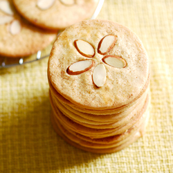 Sand Dollar Cookies