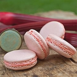 Macaron Ten Commandments