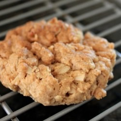 Vegan Peanut Butter Oatmeal Cookie