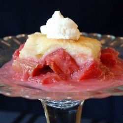 Fresh Rhubarb Cobbler