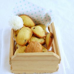 Lemon Cranberry Madeleines