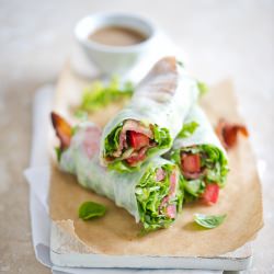 BLT Spring Rolls