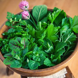 Herbs for Chimichurri