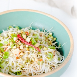 Asian Noodles with Bean Sprouts