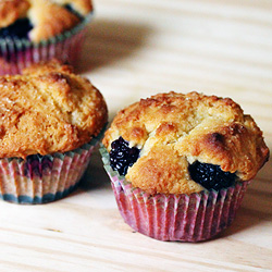 Lemon Blackberry Ricotta Muffins