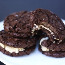 Ice Cream Sandwiches