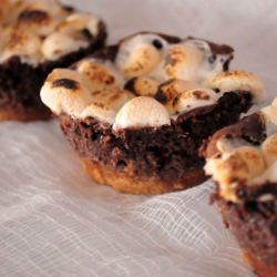 Mini Smores Cheesecakes