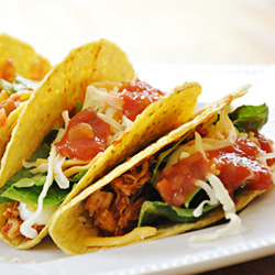 Shredded Chicken Tacos