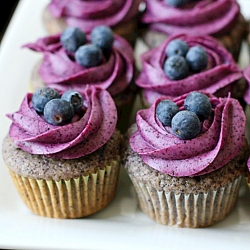 Blueberry Cupcakes