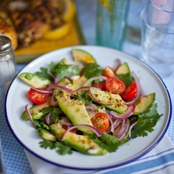 Deconstructed Guacamole Salad!