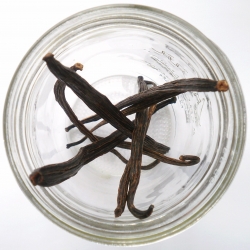 Vanilla Extract