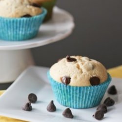 Chocolate Chip Muffins