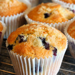 Blueberry & Lemon Muffins