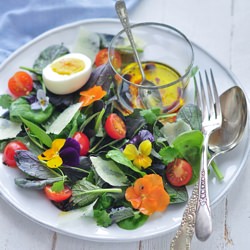 Microleave & Edible Flower Salad