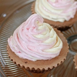 Ice Cream Cupcakes