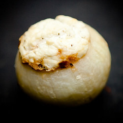 Stuffed Onions