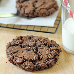 Chocolate Chocolate Chip Cookie