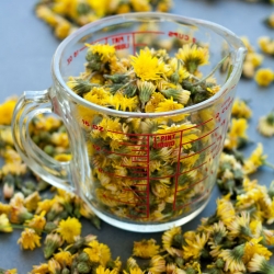 Dandelion Cordial