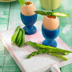 Snow Peas and Asparagus with Eggs