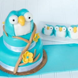 Owl Cake {Miniature}