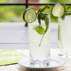 Sumo Cucumber Collins