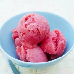 Rhubarb Sorbet