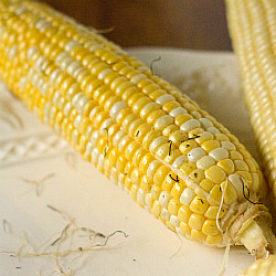 Grilled Corn