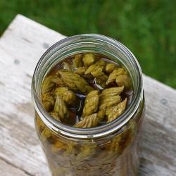 Pickled & Peppered Asparagus