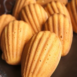 Madeleines