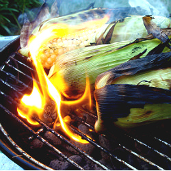 Roasted Corn on the Charcoal Grill