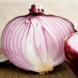 Pickled Onion and Cucumber Salad